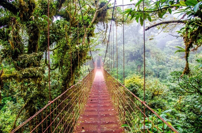 Pont de Monteverde au Costa Rica