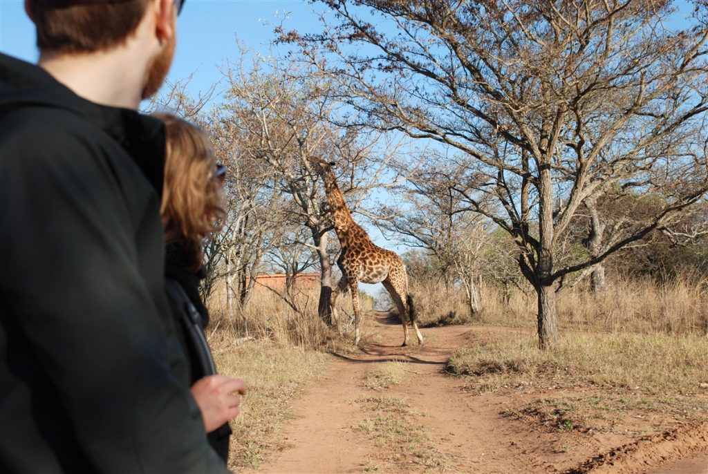 Safari à pied - Afrique du Sud