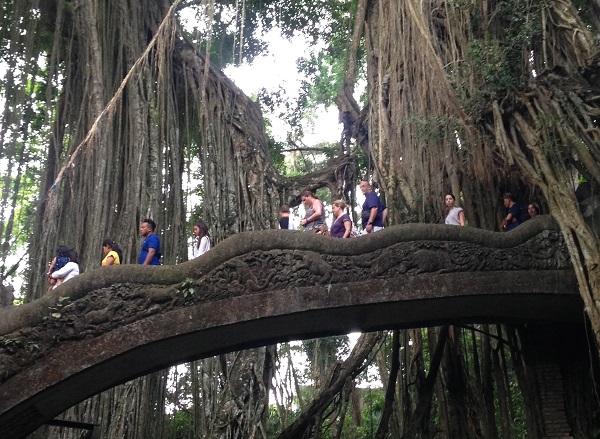 voyage famille Indonésie forêt sacrée des singes 